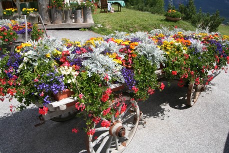 Fotografo paesaggi ristoranti cortina fiori sfondi