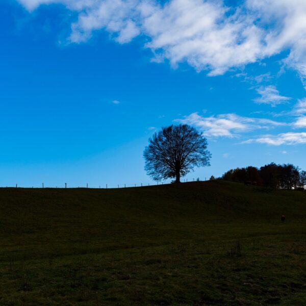 Fotografia del paesaggio Friuli e Veneto - marco Donà Fotografo e videomaker - fotografia drone